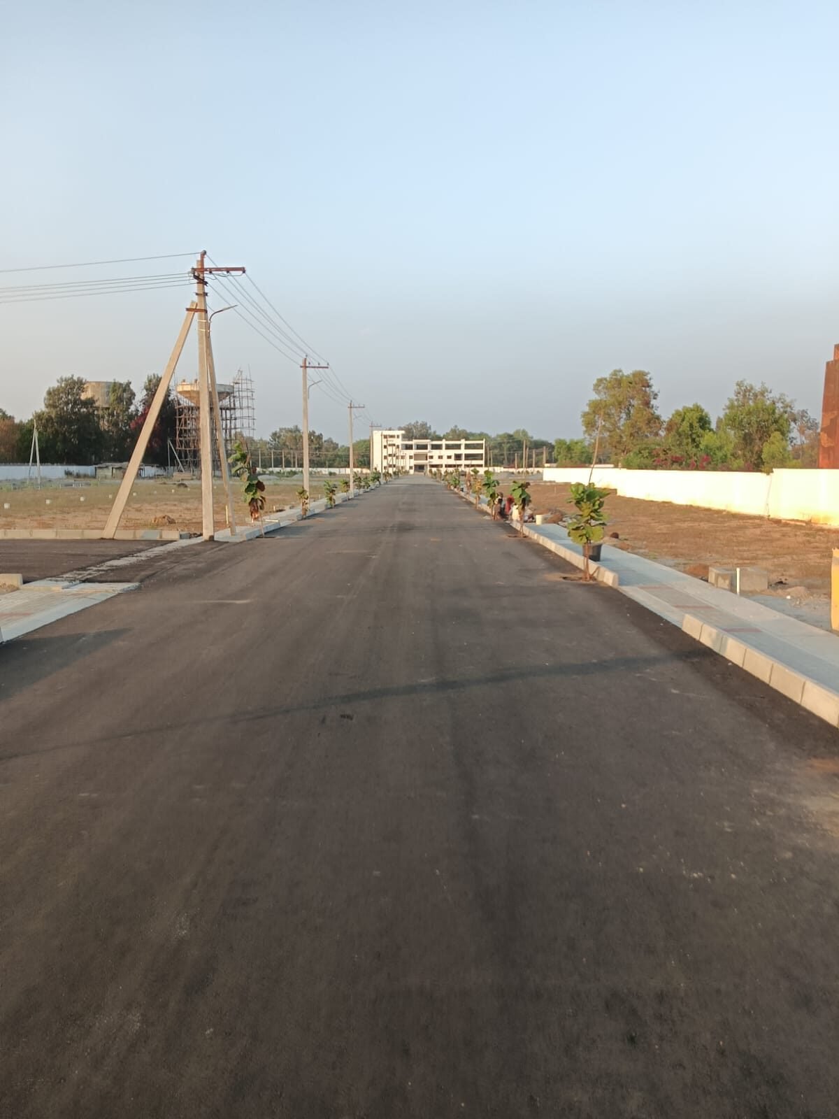 AVS Royal Encasa - Wide blacktop road with avenue plantation