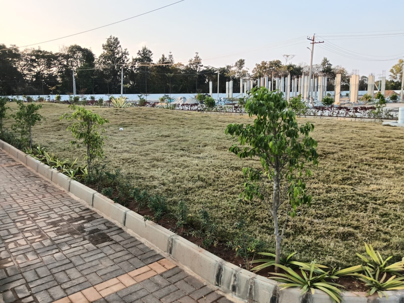 AVS Royal Encasa - Landscaped park with paver pathway